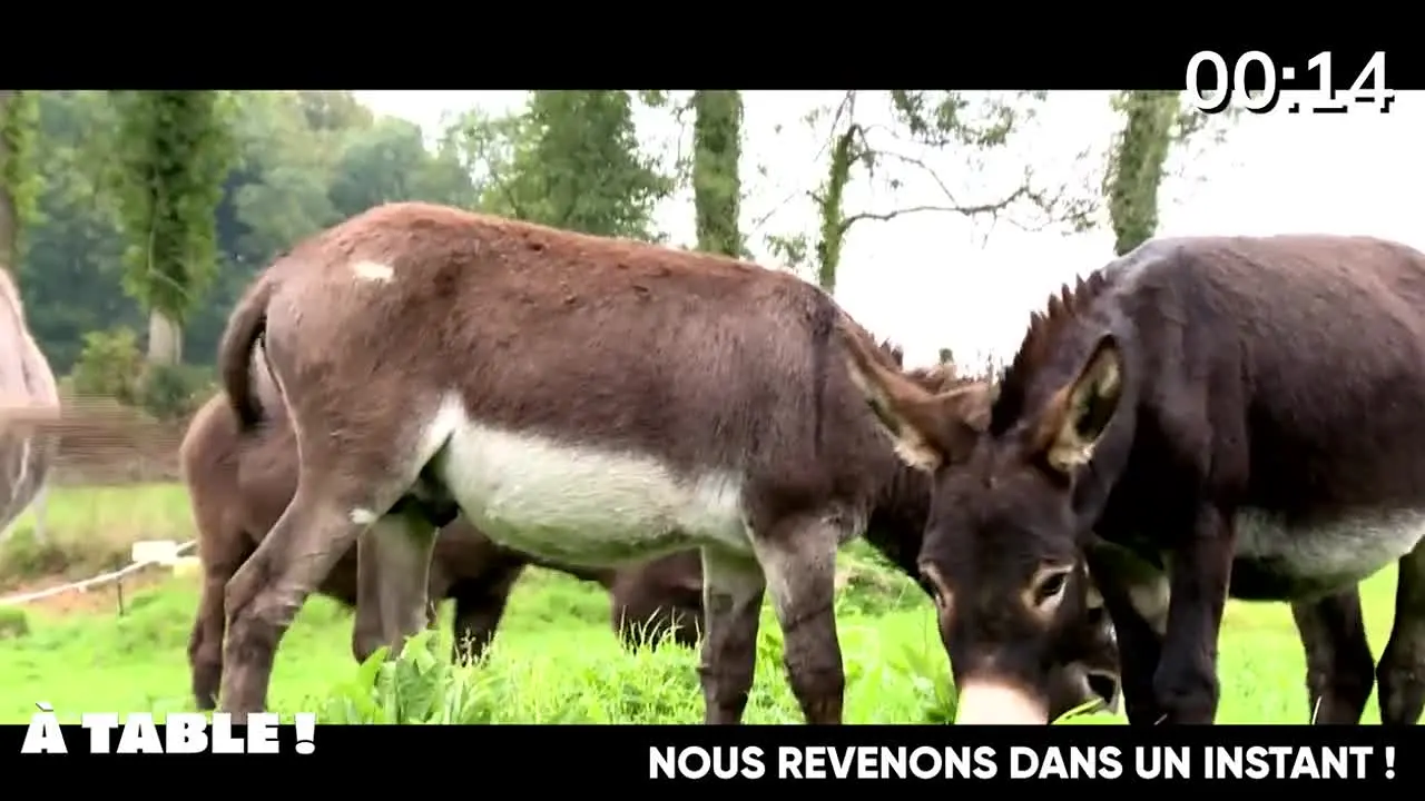 Ça Chauffe en Cuisine live