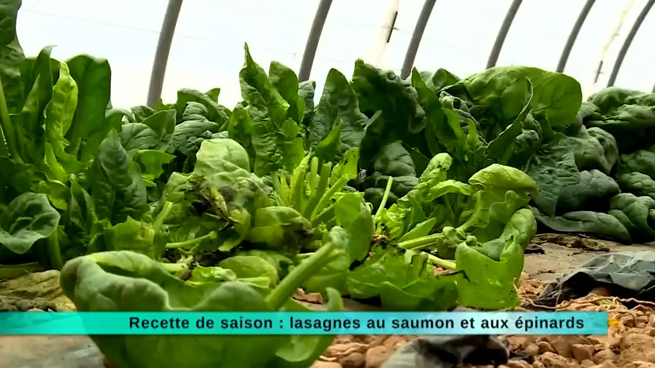 Ça Chauffe en Cuisine live