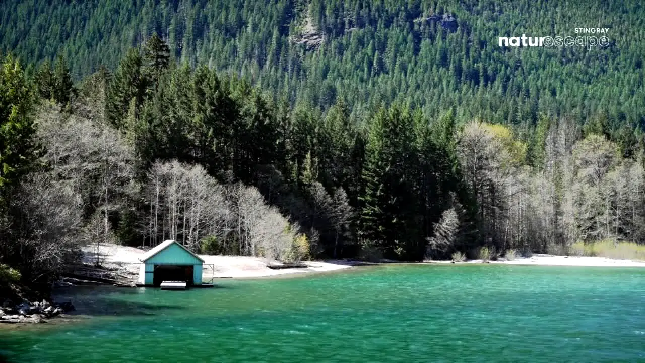 Stingray Naturescape live