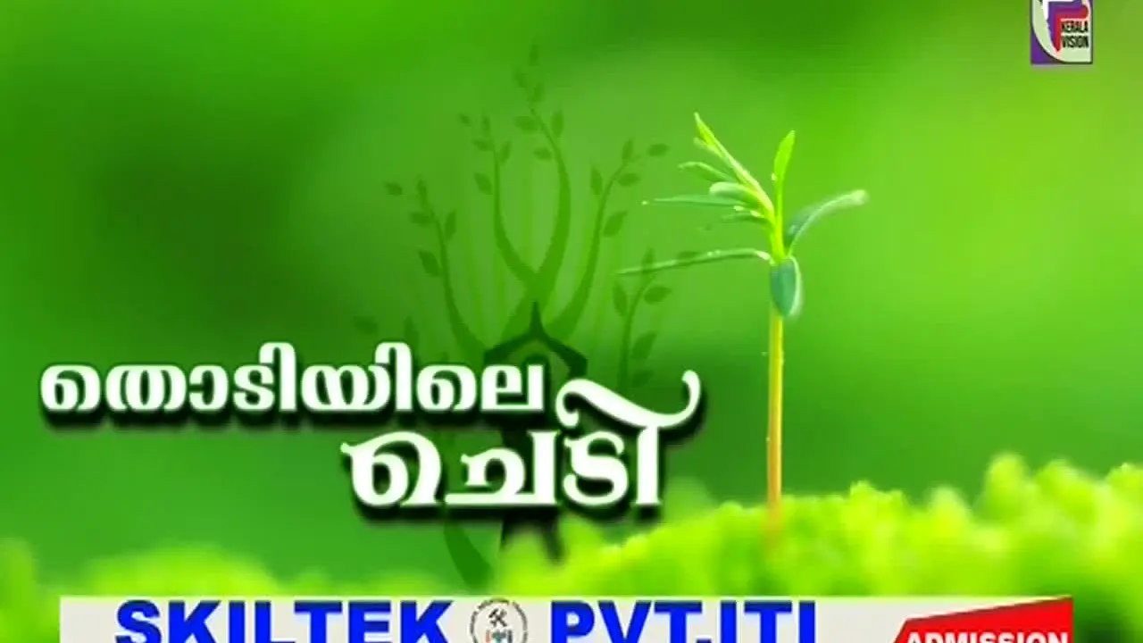 Kerala Vision en vivo