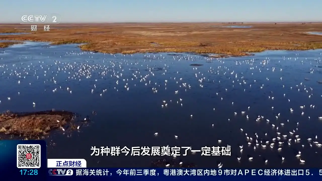 CCTV-2 财经 na żywo