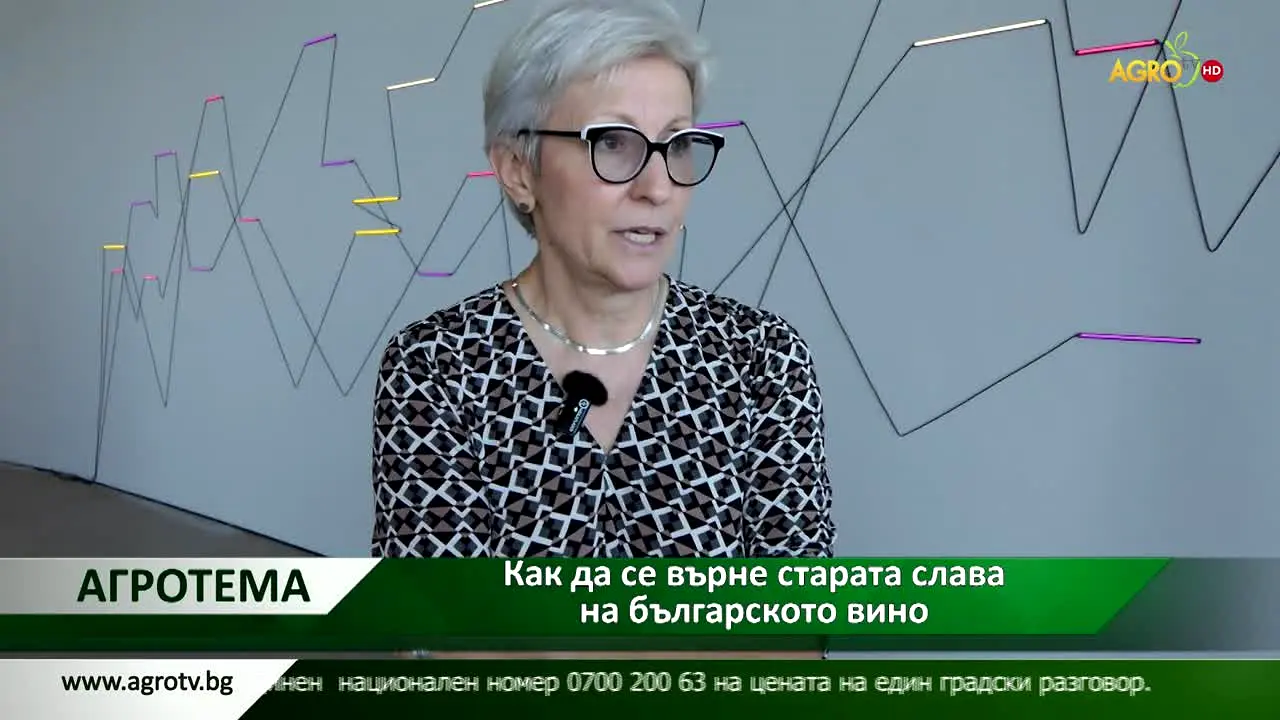 Agro TV — прямой эфир