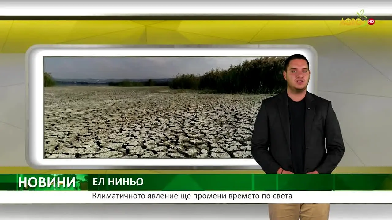 Agro TV live