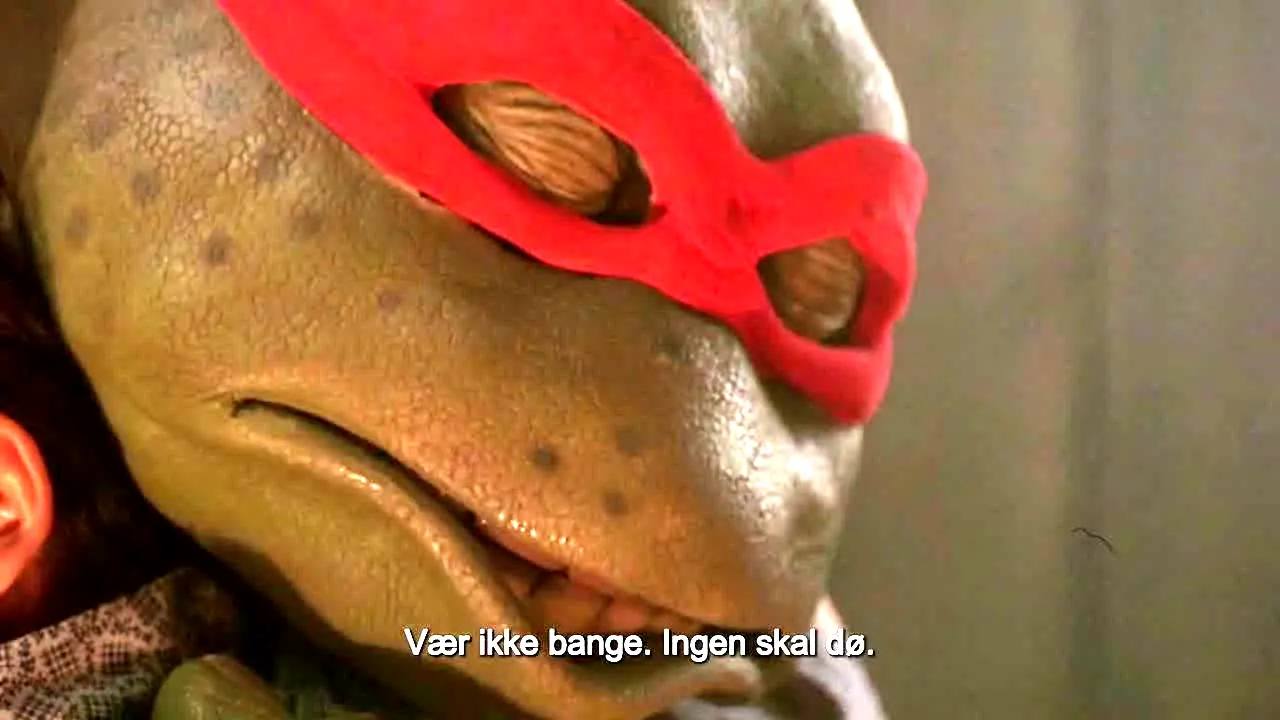 NonStop Kung Fu live