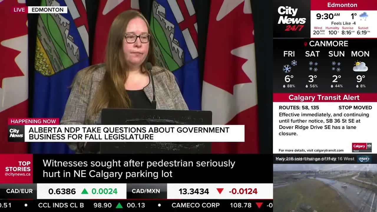 CityNews Calgary live