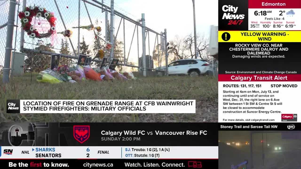 CityNews Edmonton live