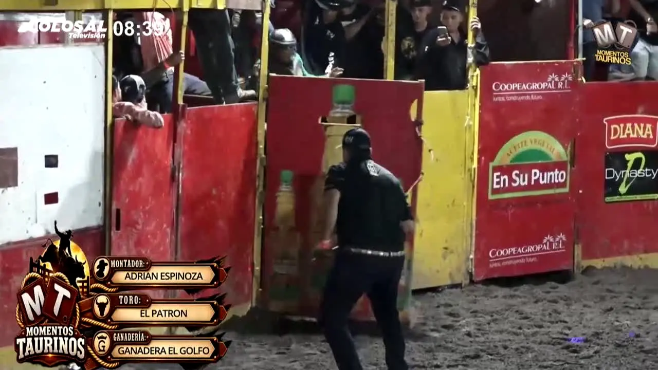 Colosal TV ao vivo