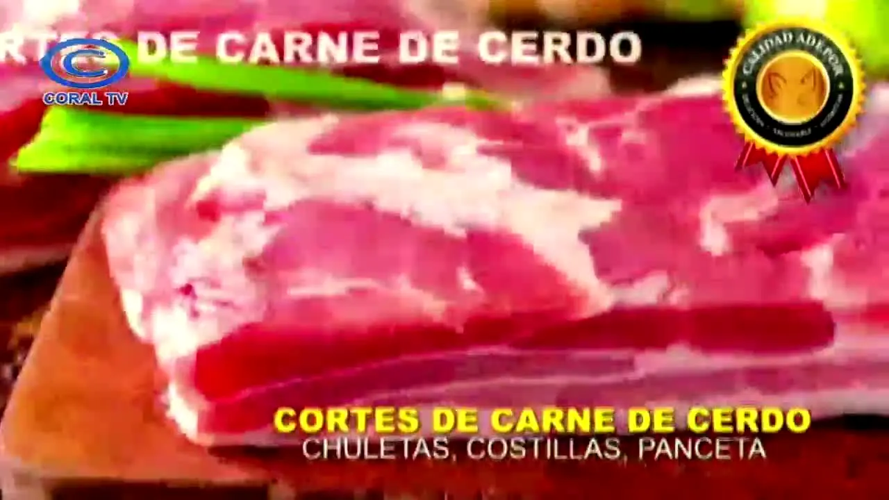 Coral TV live