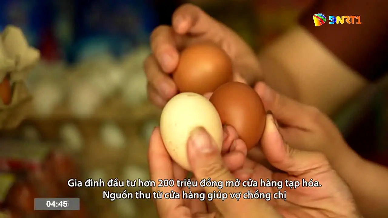 Da Nang TV 1 live