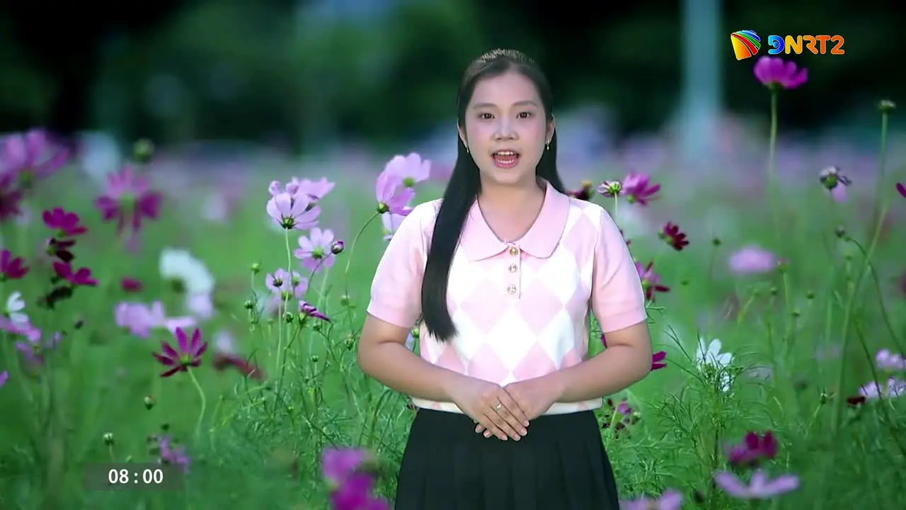 Da Nang TV2 live
