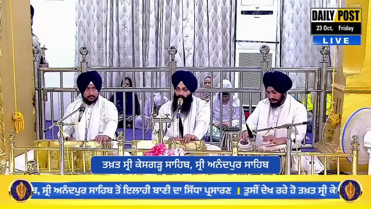 Daily Post TV live