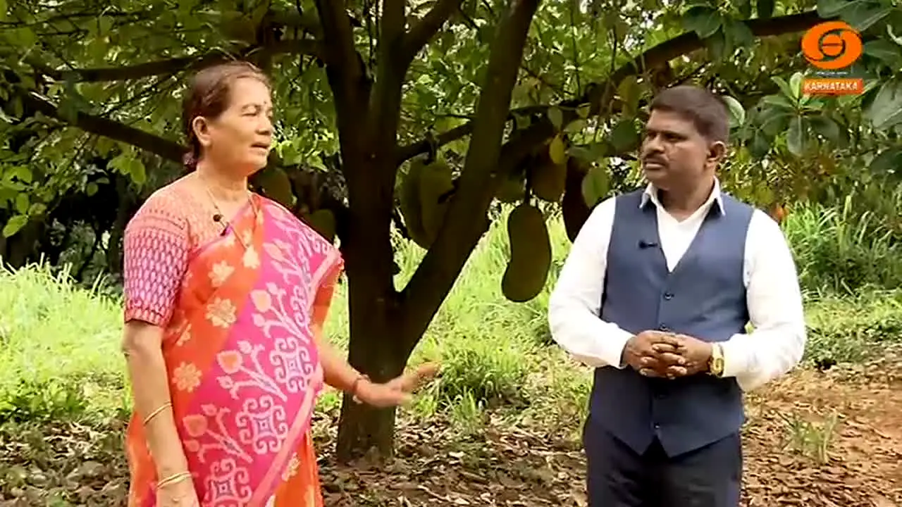 DD Chandana live
