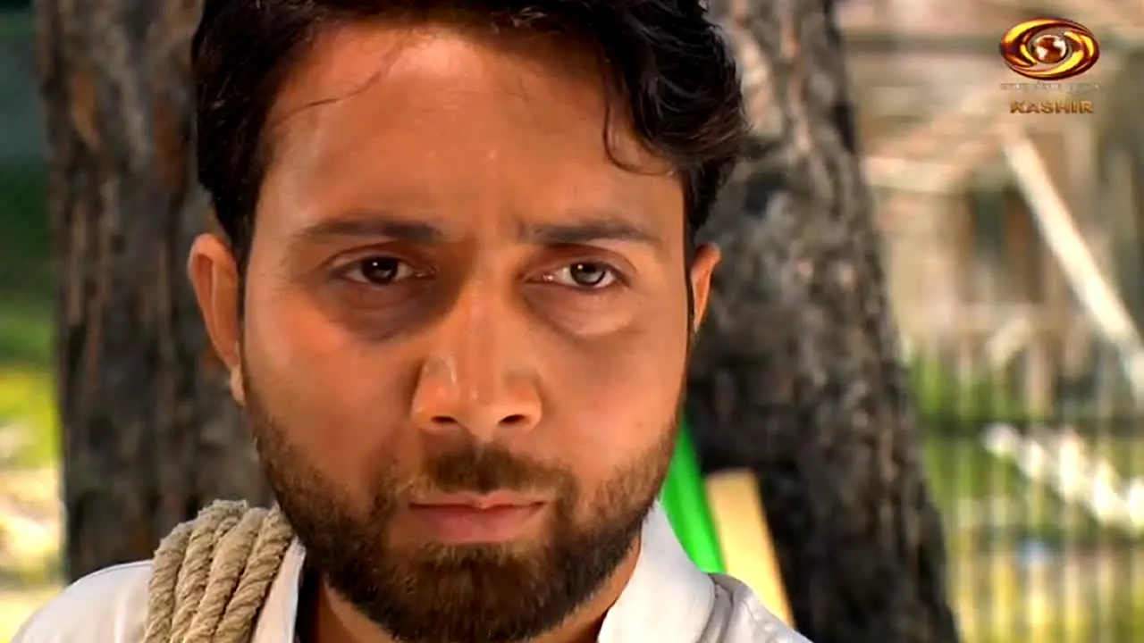 DD Kashir live