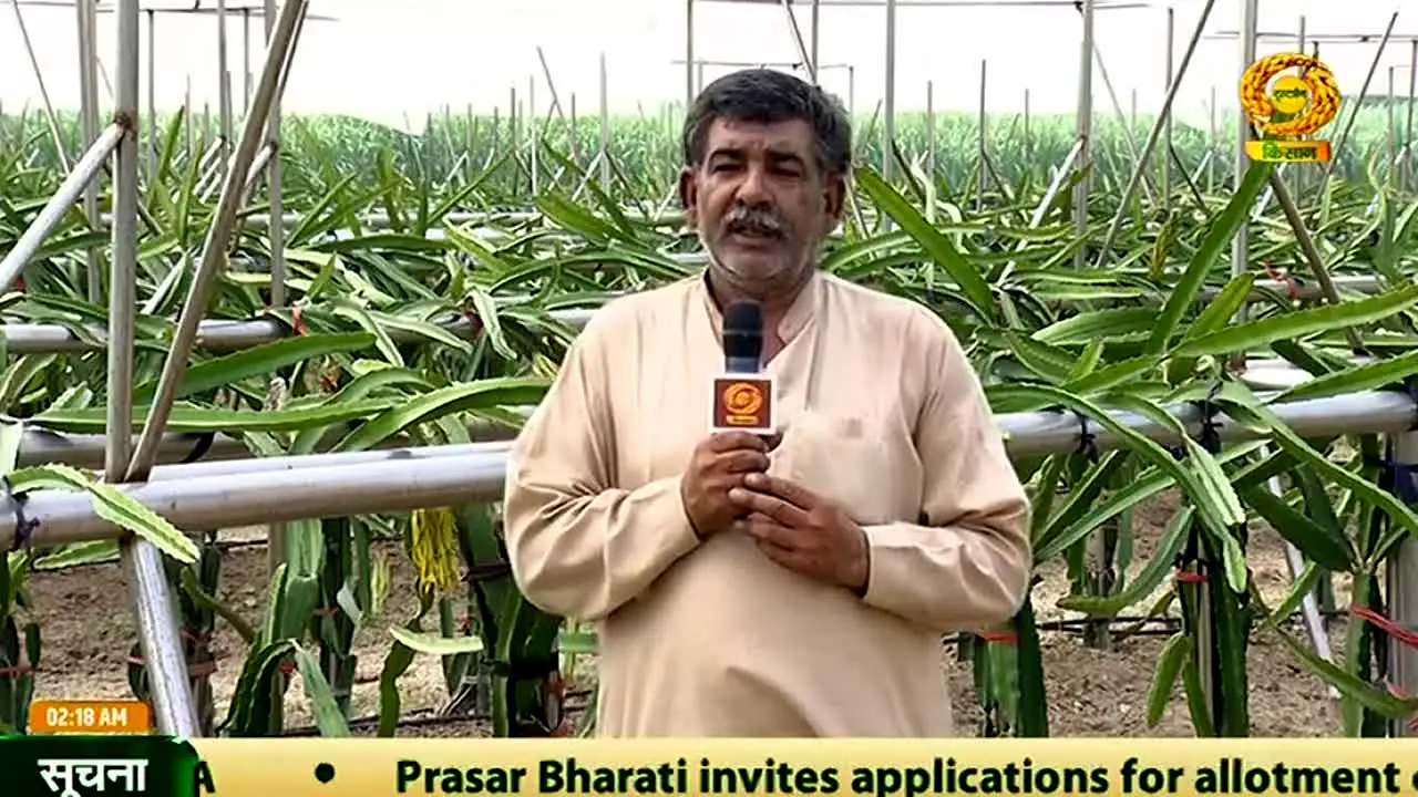 DD Kisan live