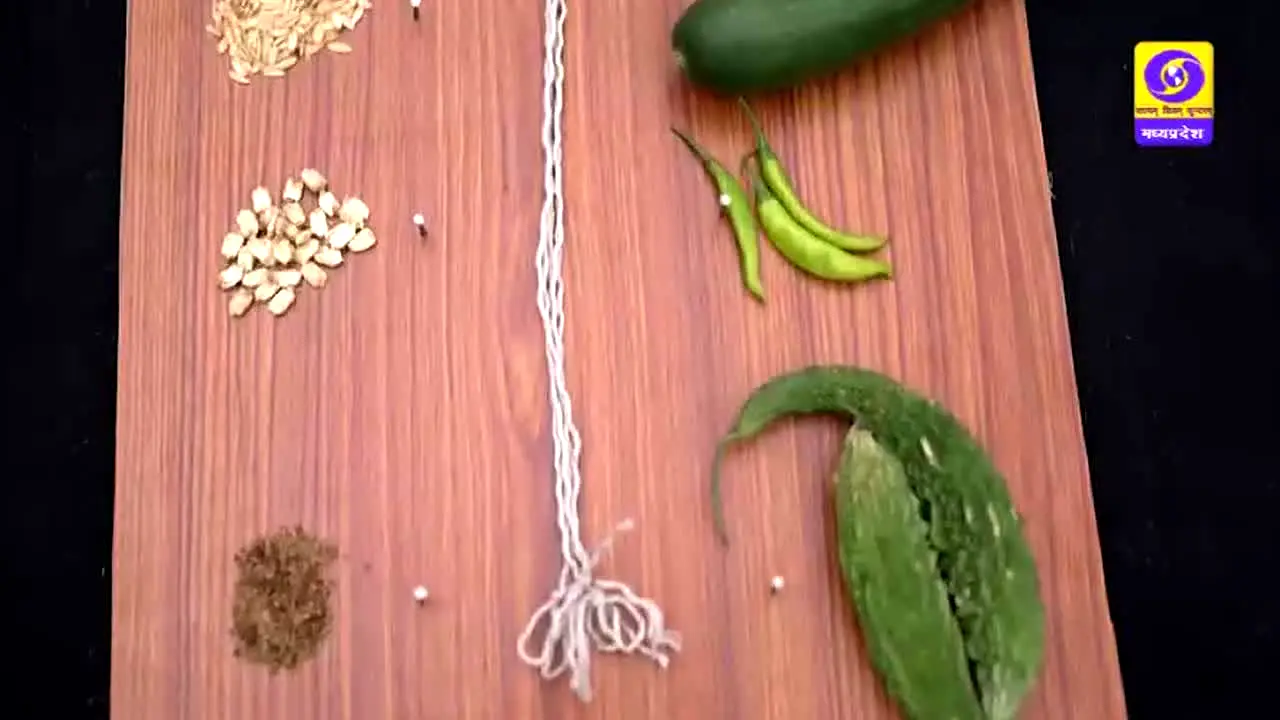 DD Madhya Pradesh live