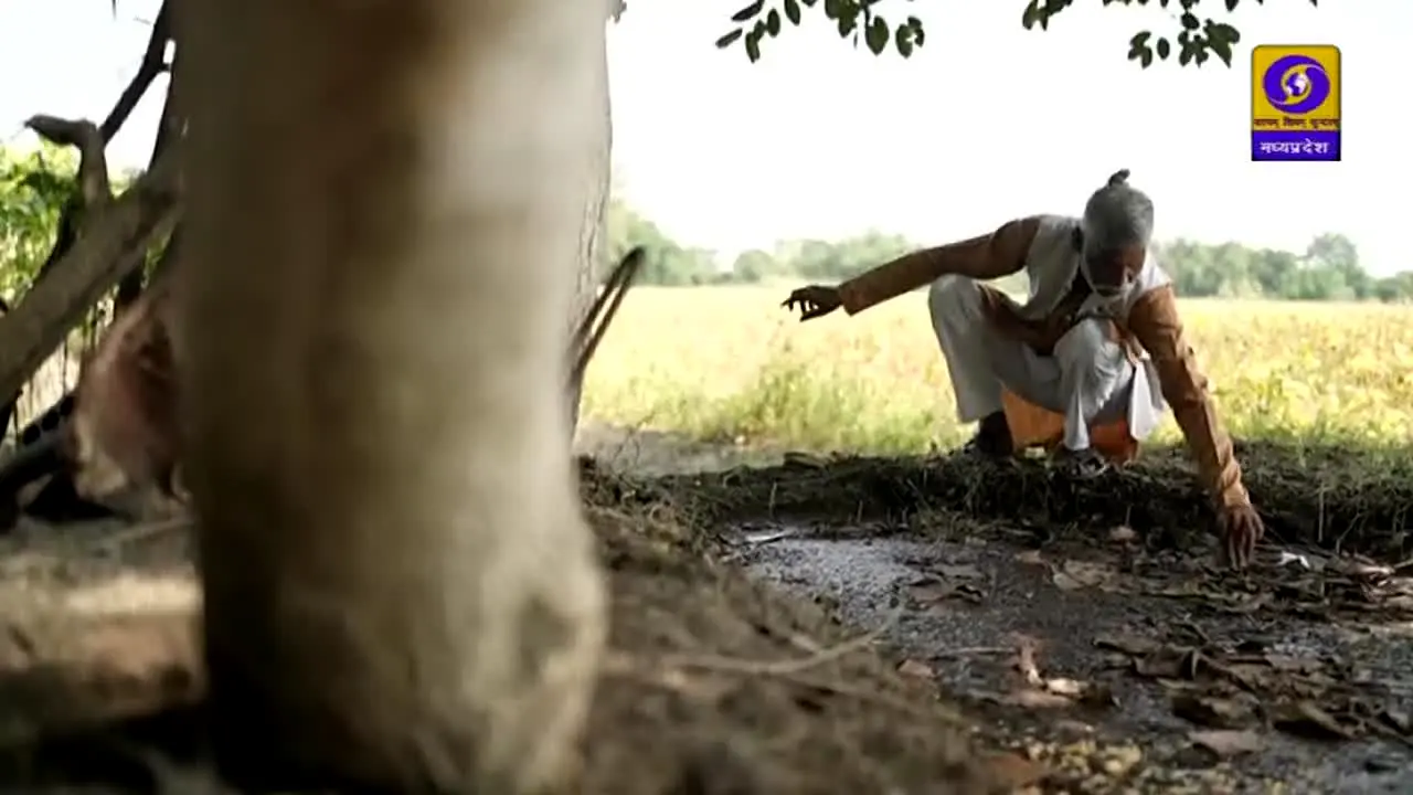 DD Madhya Pradesh in diretta