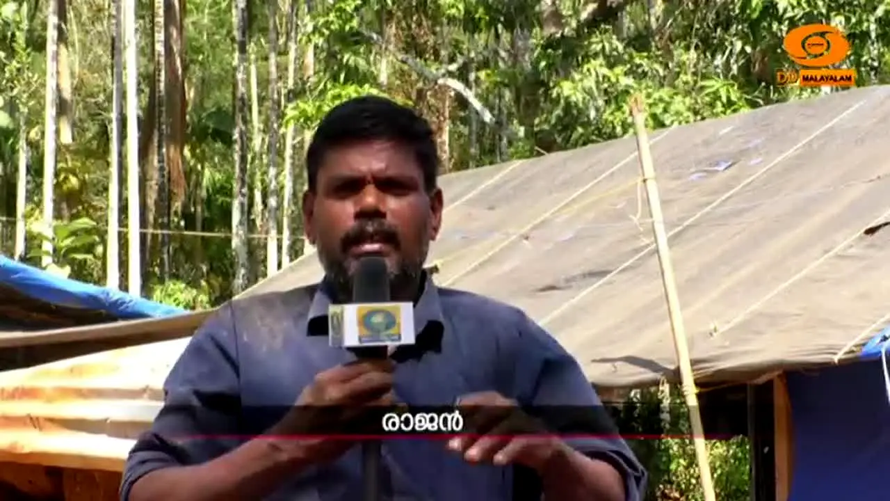 DD Malayalam live