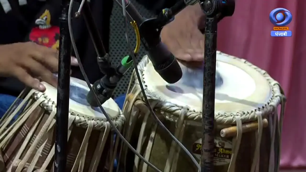 DD Punjabi live