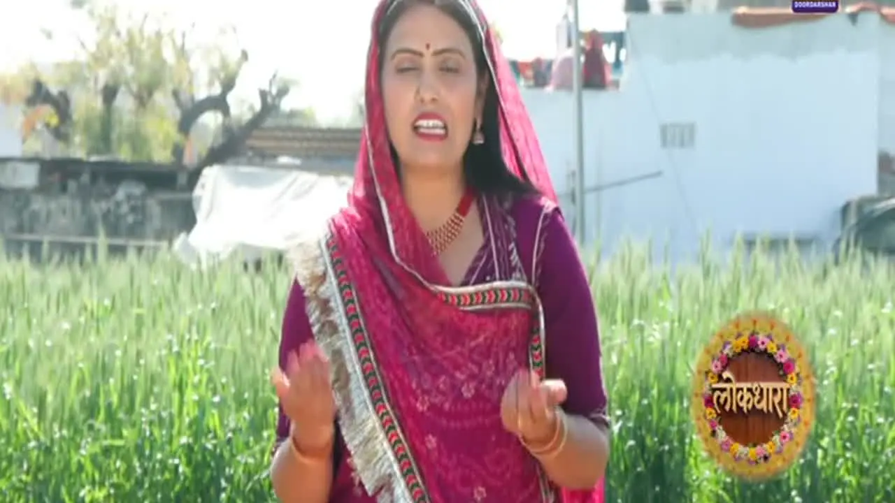 DD Rajasthan live