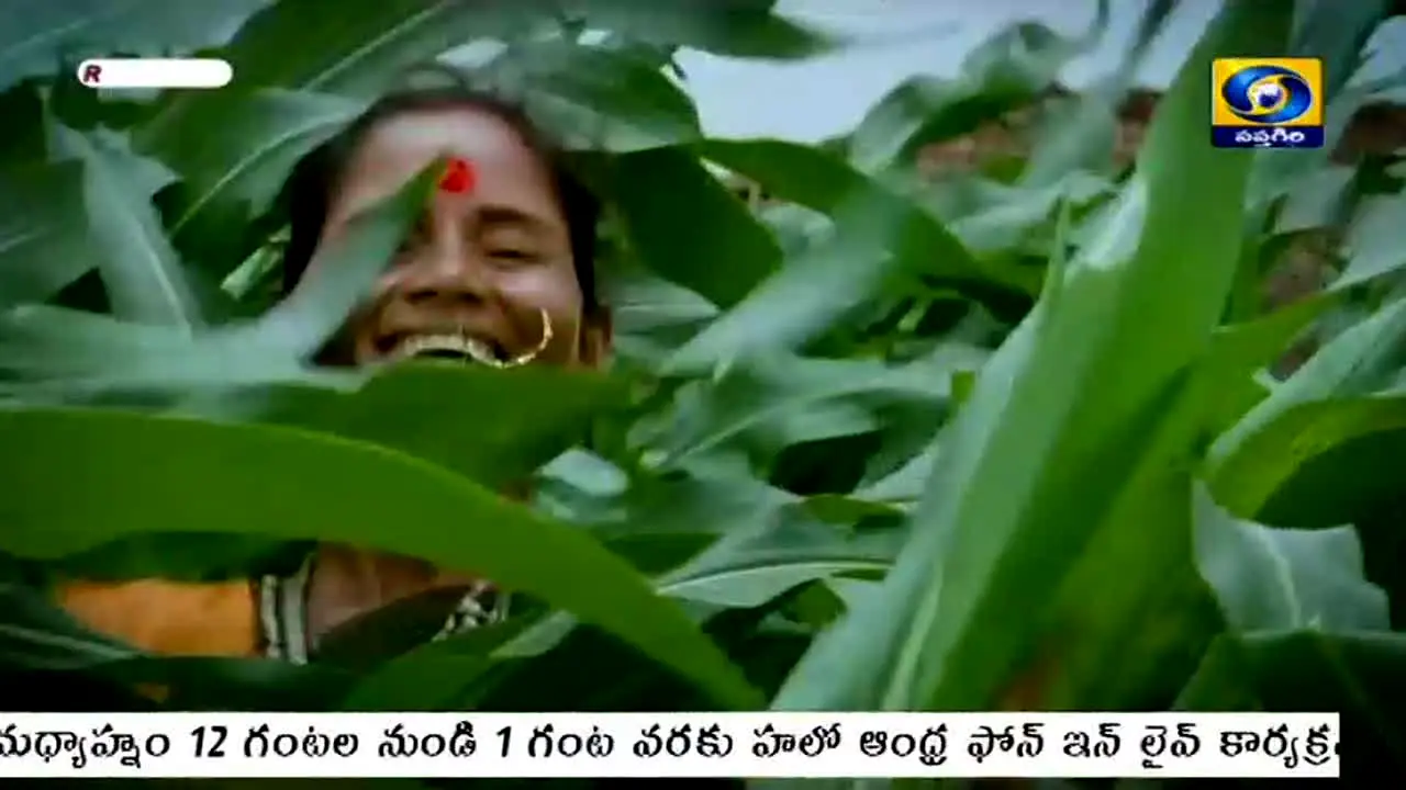 DD Saptagiri live