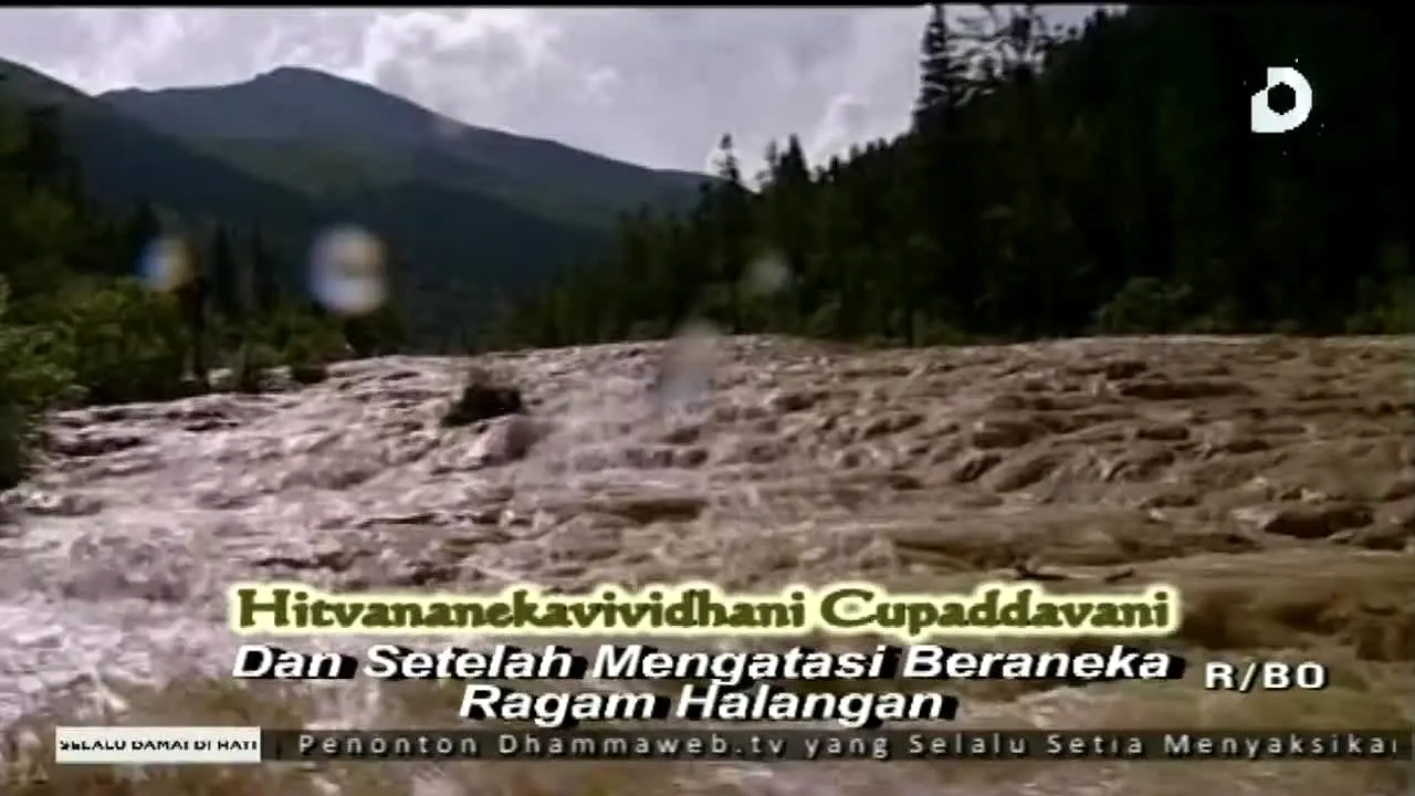 Dhamma TV na żywo