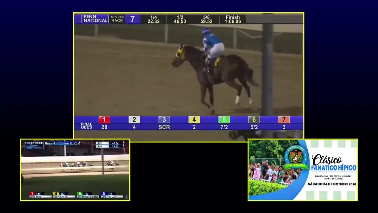 Digital Vision 63 live