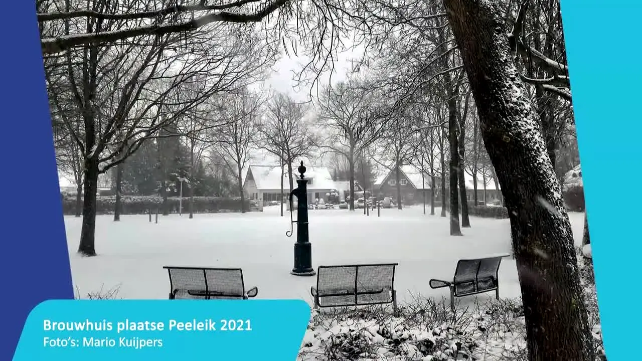 Dit is Helmond na żywo