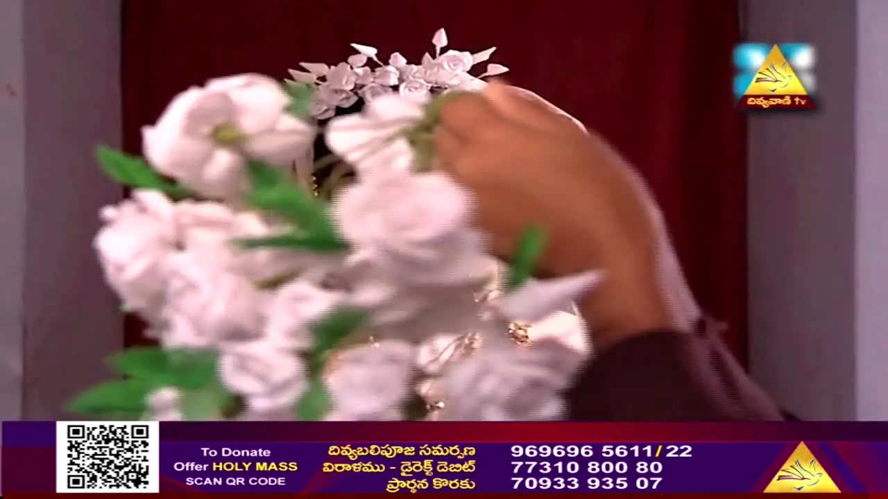 Divyavani TV live