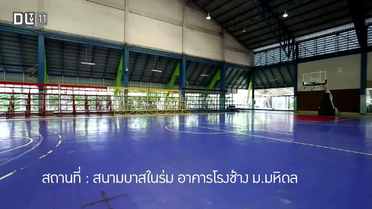 DLTV 11 live