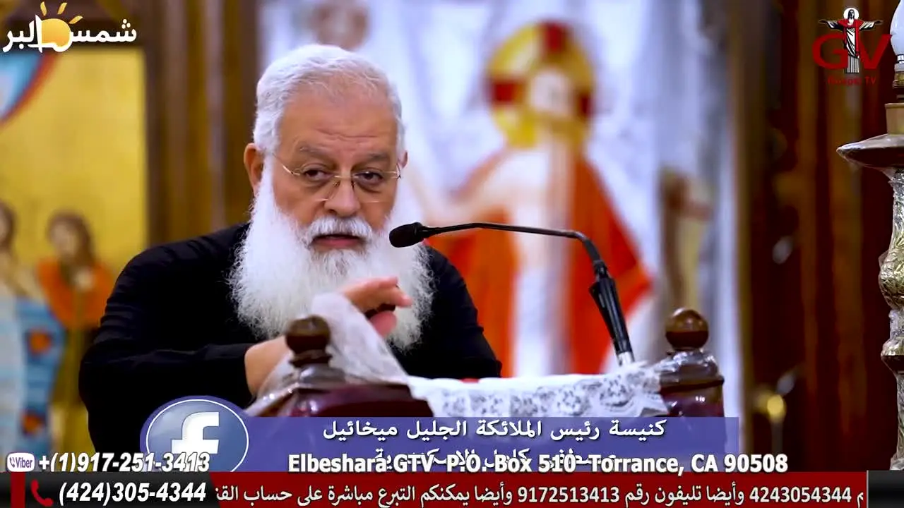 Elbeshara GTV live