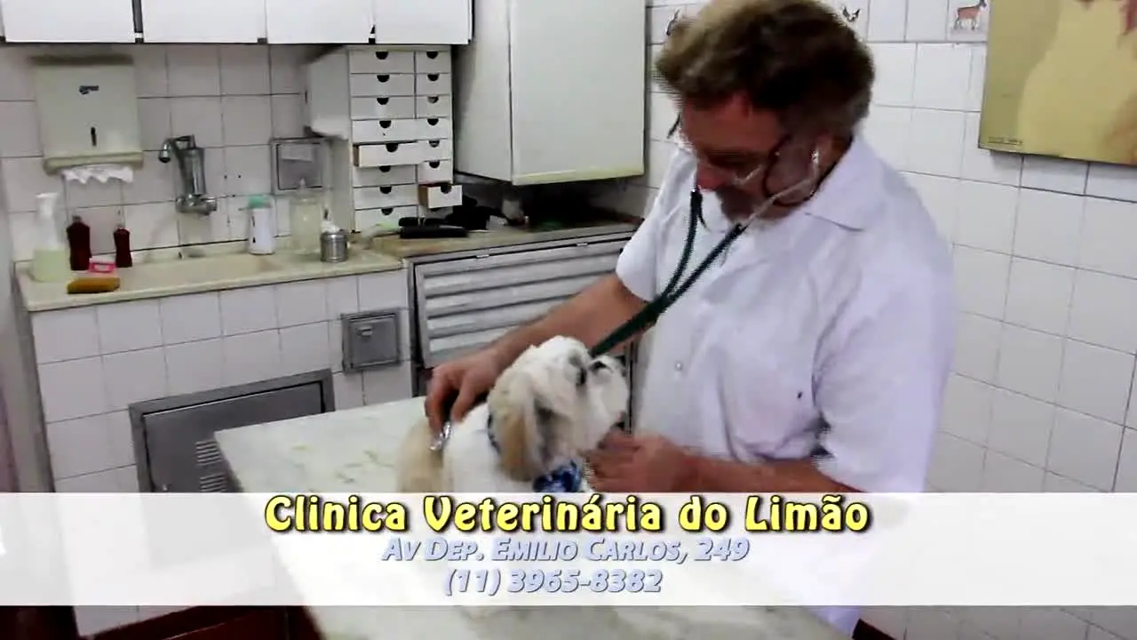 ElyTV ao vivo