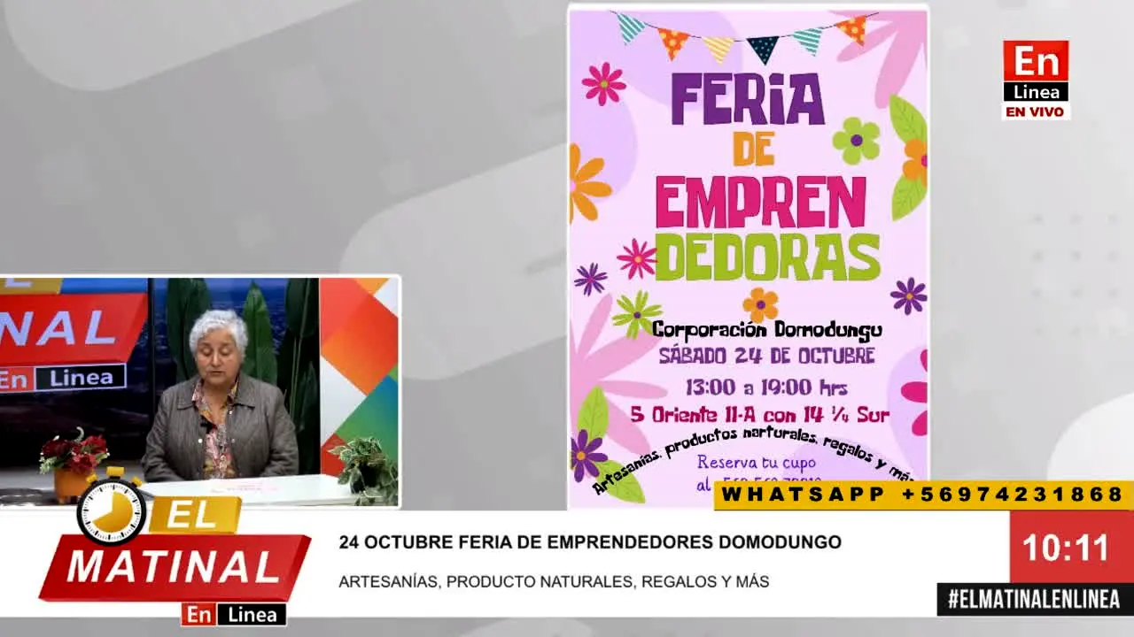 En Linea Maule live