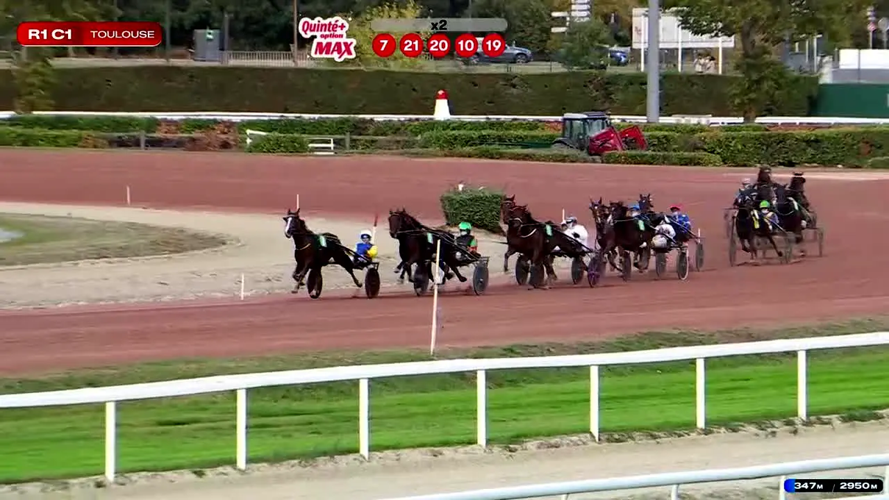 Equidia live