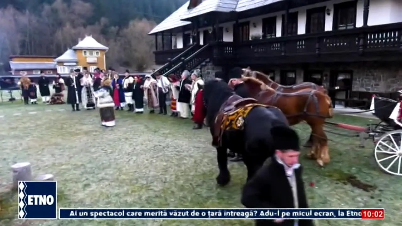 Etno TV na żywo