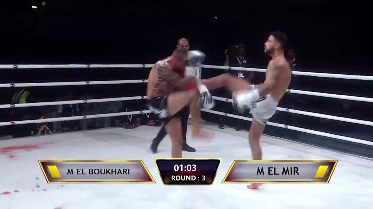 FITE 24/7 live