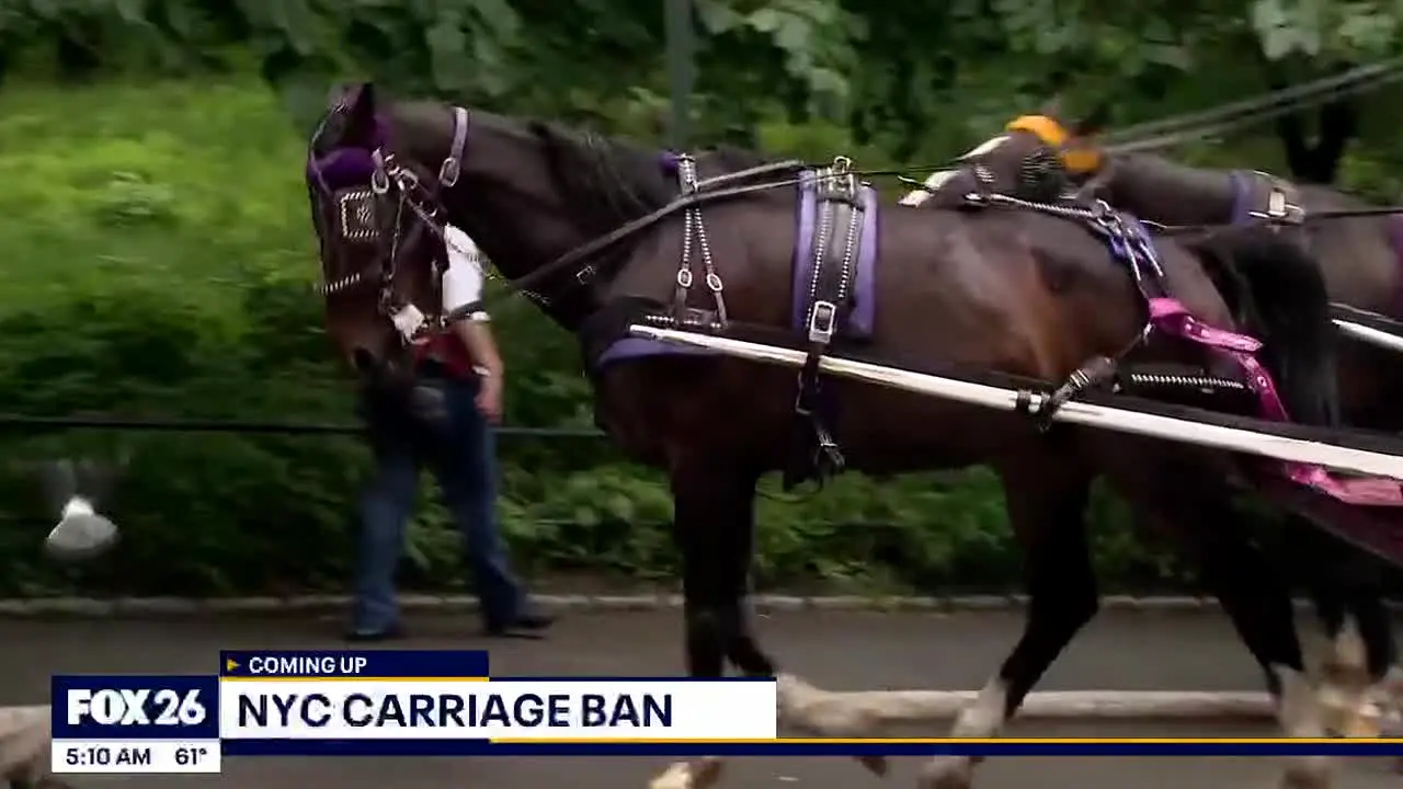 Fox KRIV en direct