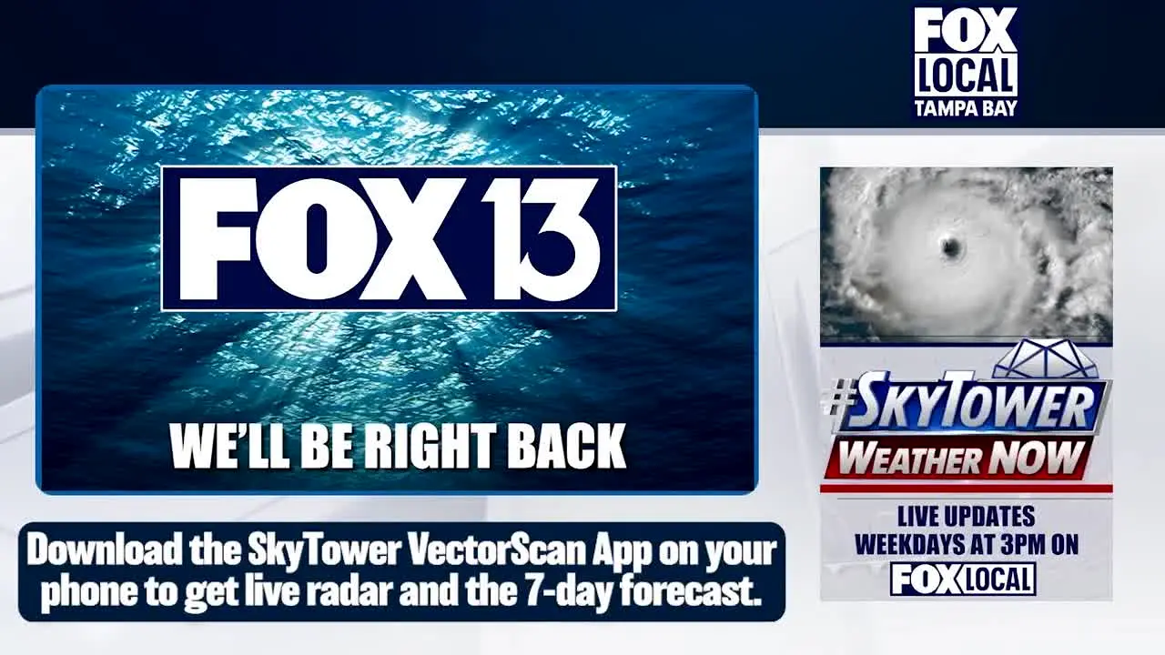 Fox WTVT ao vivo