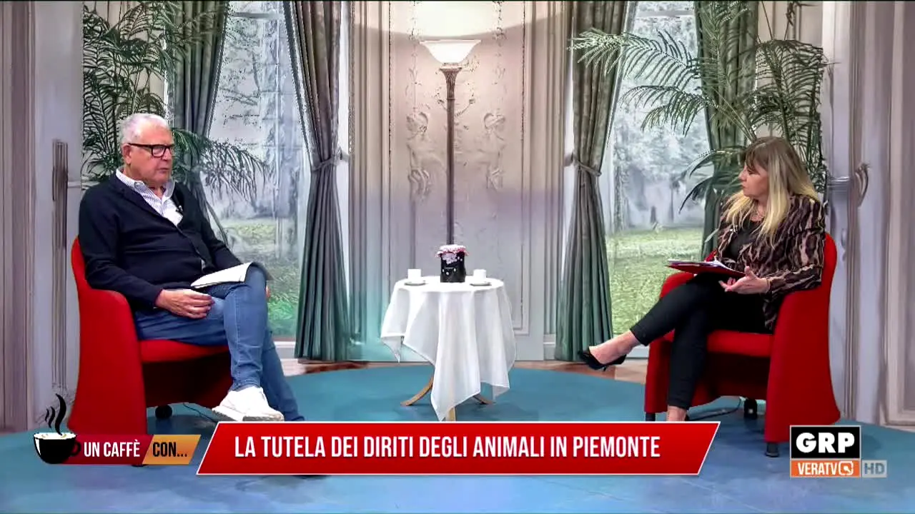 GRP VERATV in diretta