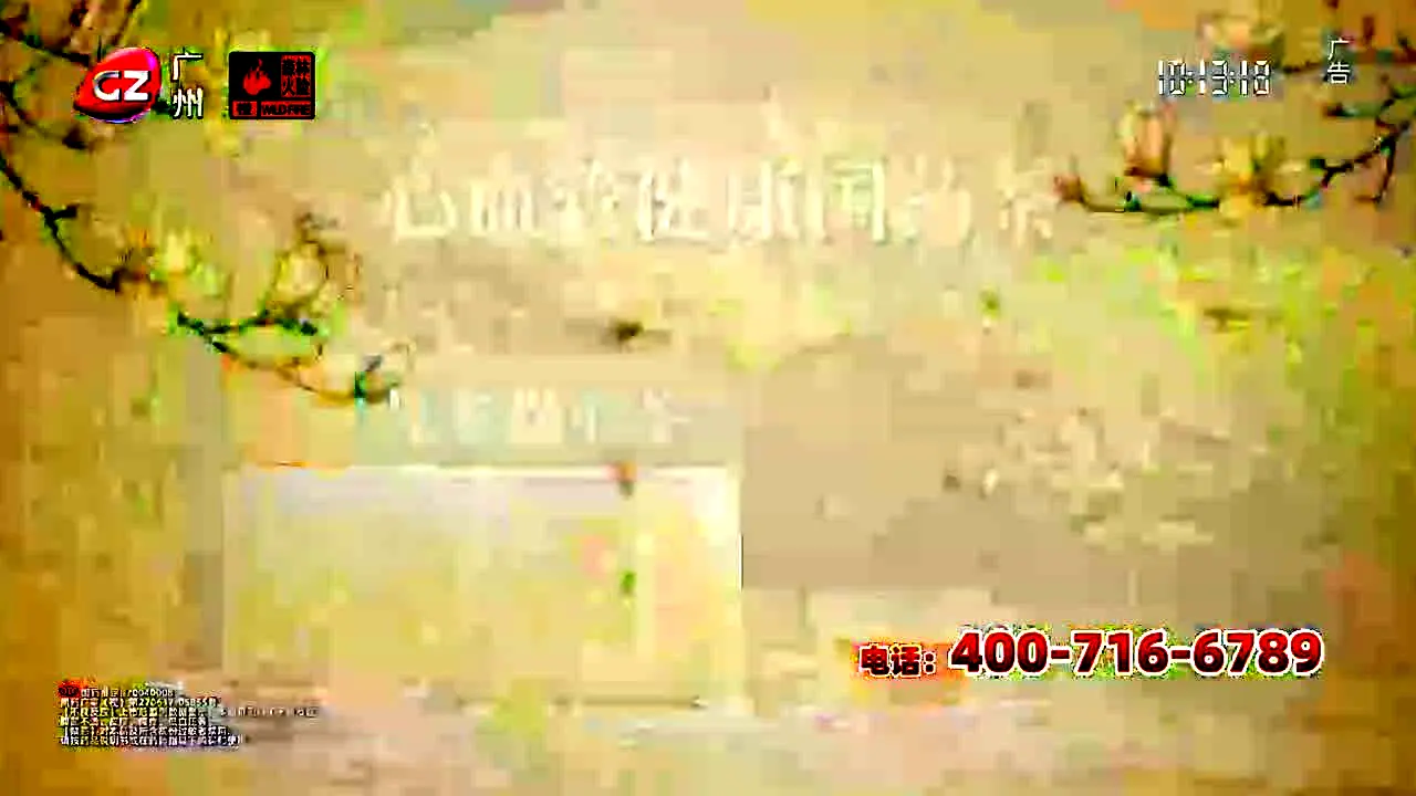 Guangzhou TV live