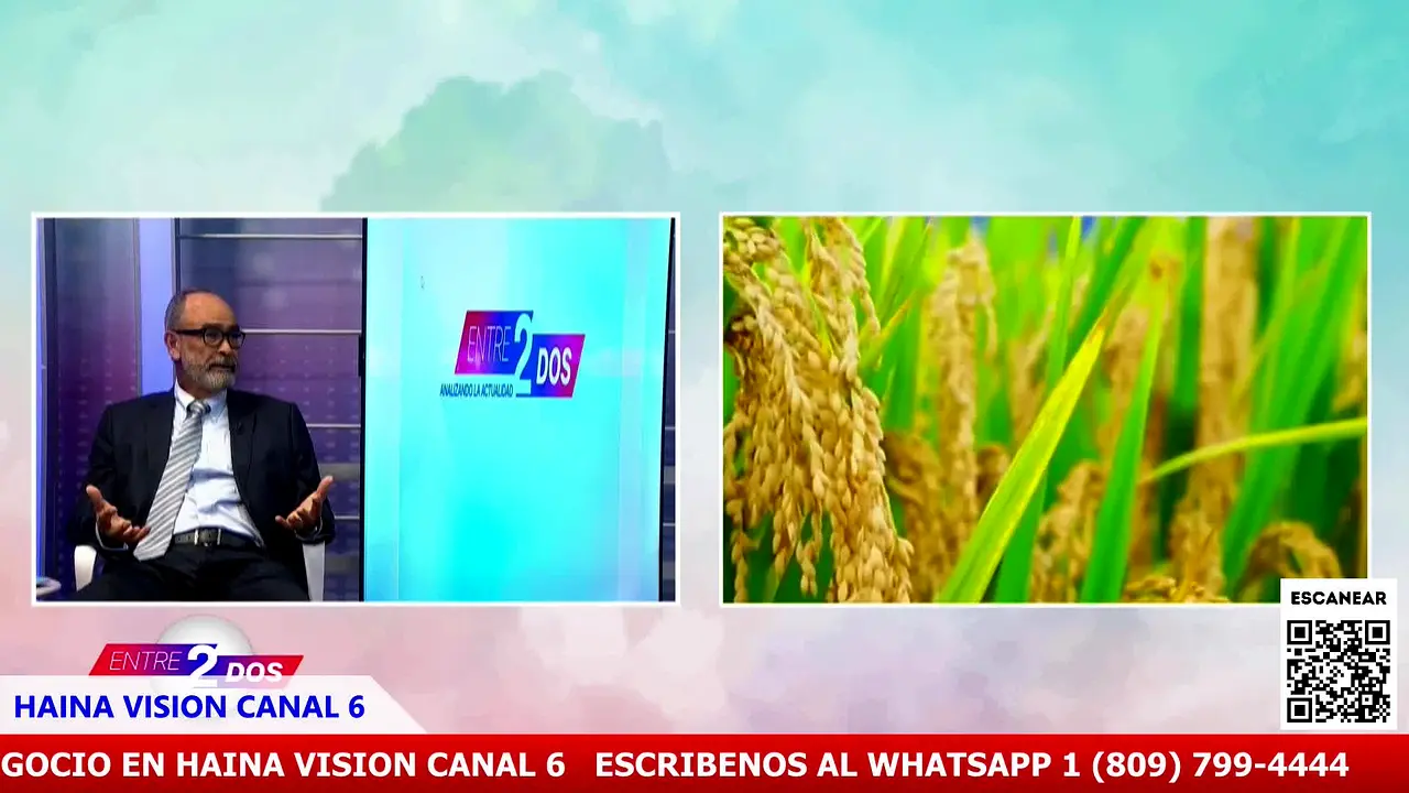 Haina Vision live