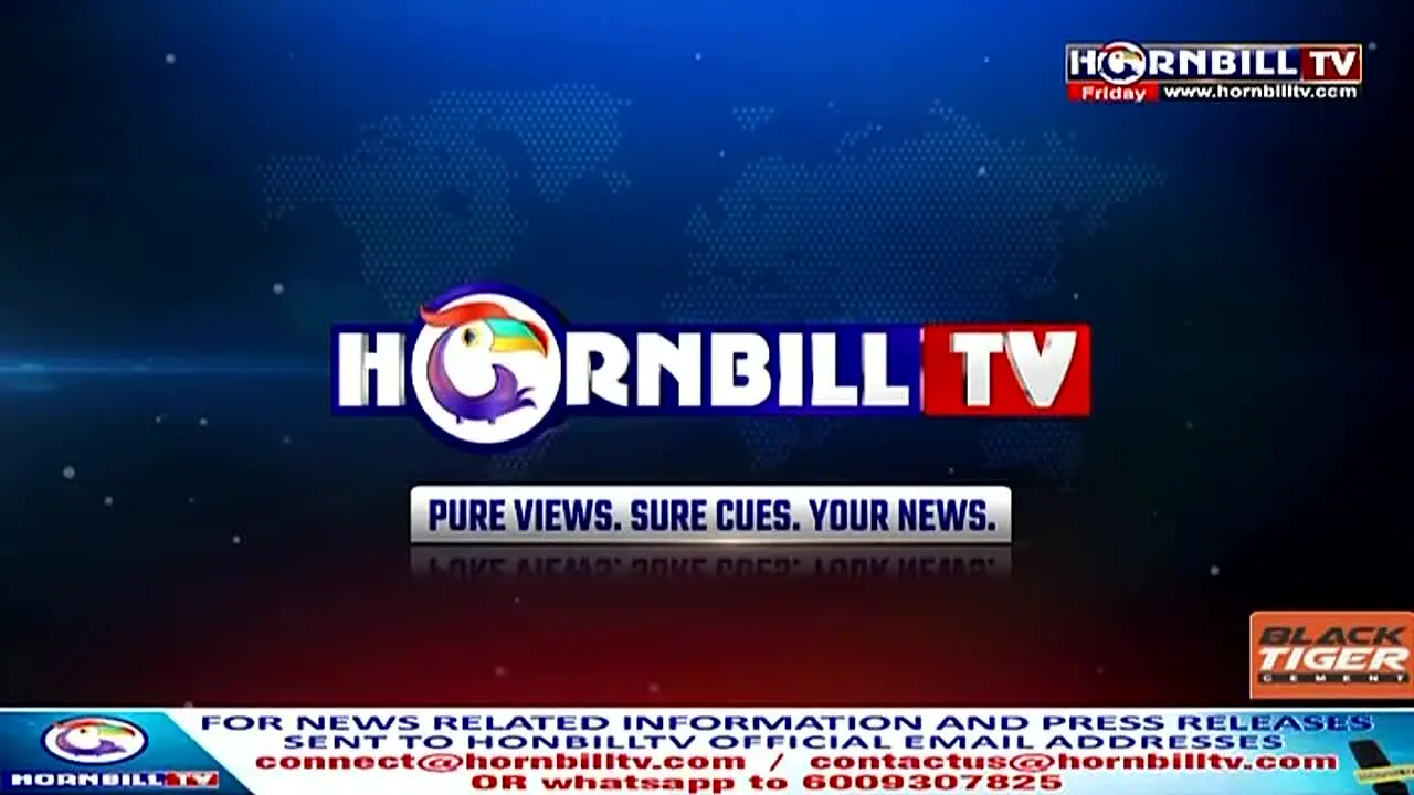 Hornbill TV live