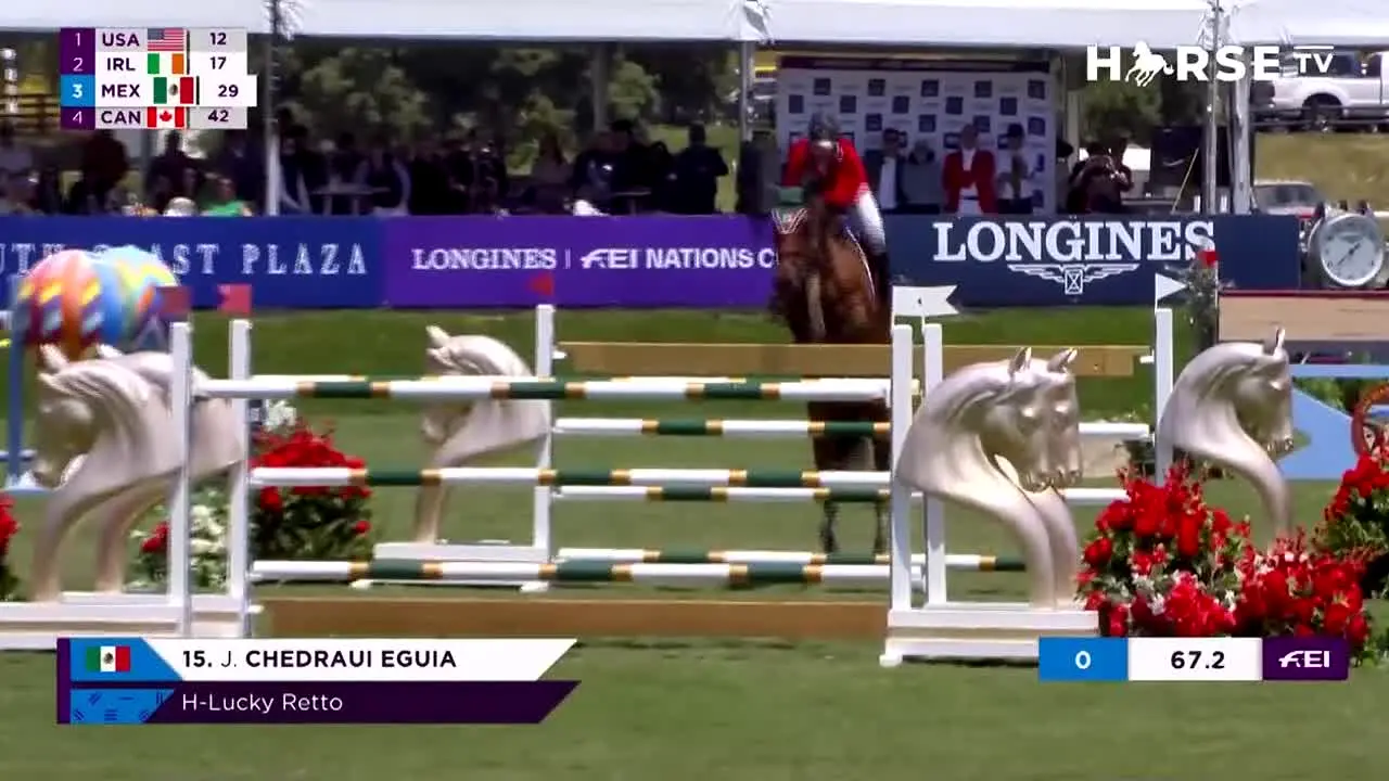 Horse TV live