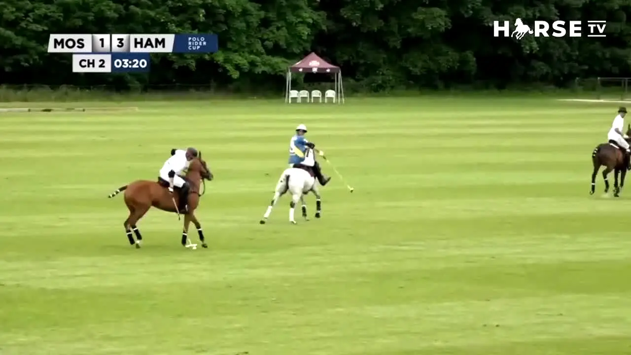 Horse TV live