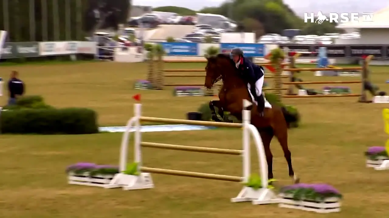 Horse TV ao vivo