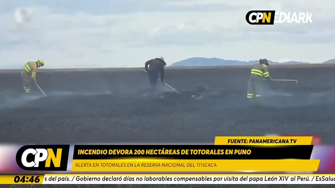 Intuitiva TV live