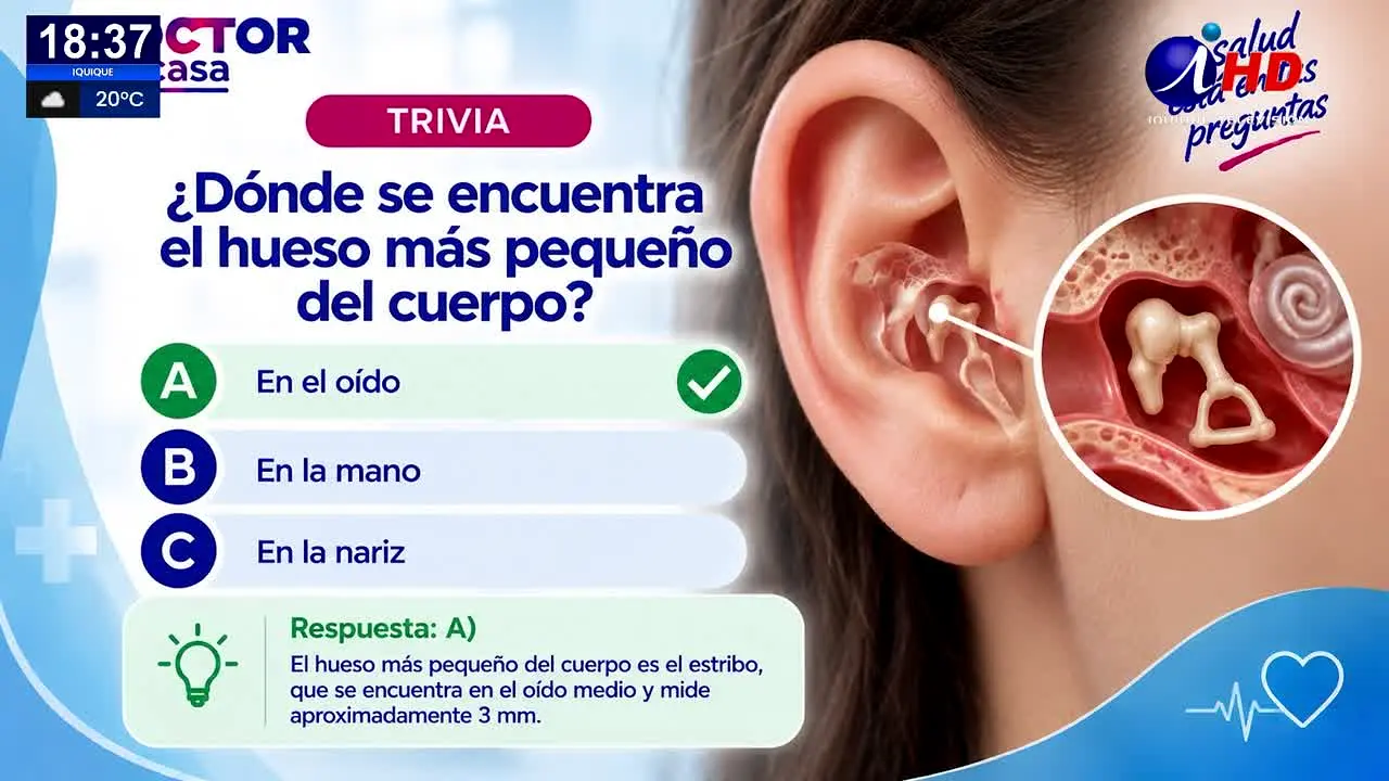 Iquique TV · CL in diretta