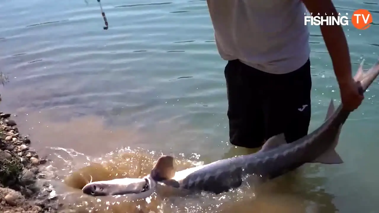 Italian Fishing TV live