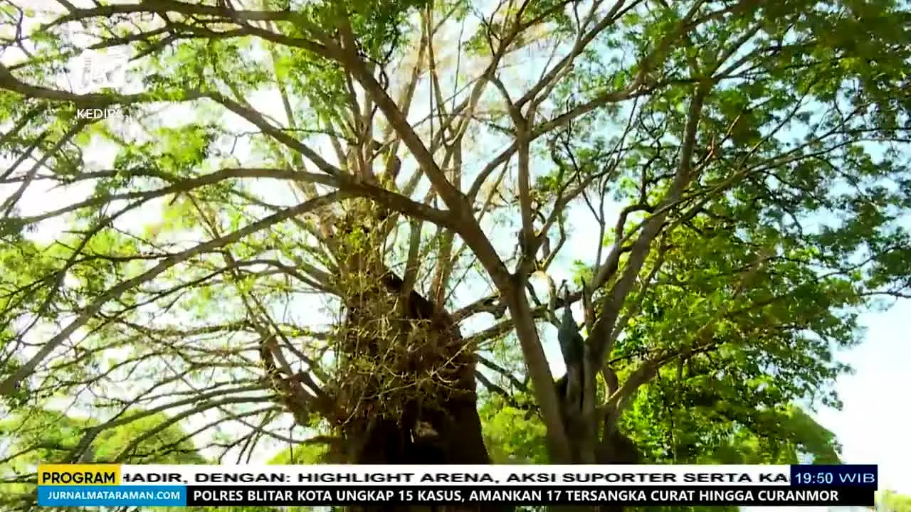 JTV Kediri in diretta