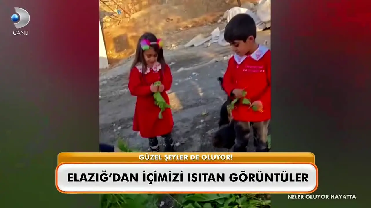 Kanal D en direct