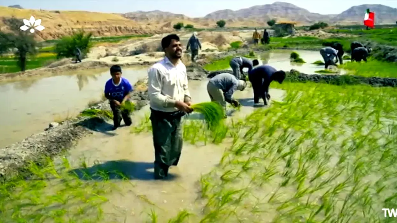 Khozestan TV na żywo